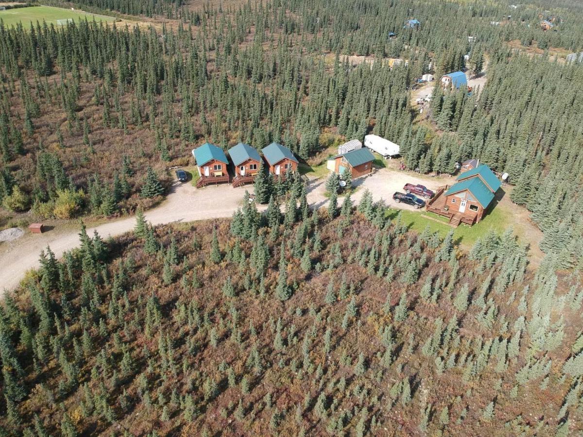 Denali'S Alaskan Spruce Cabins Хийли Екстериор снимка