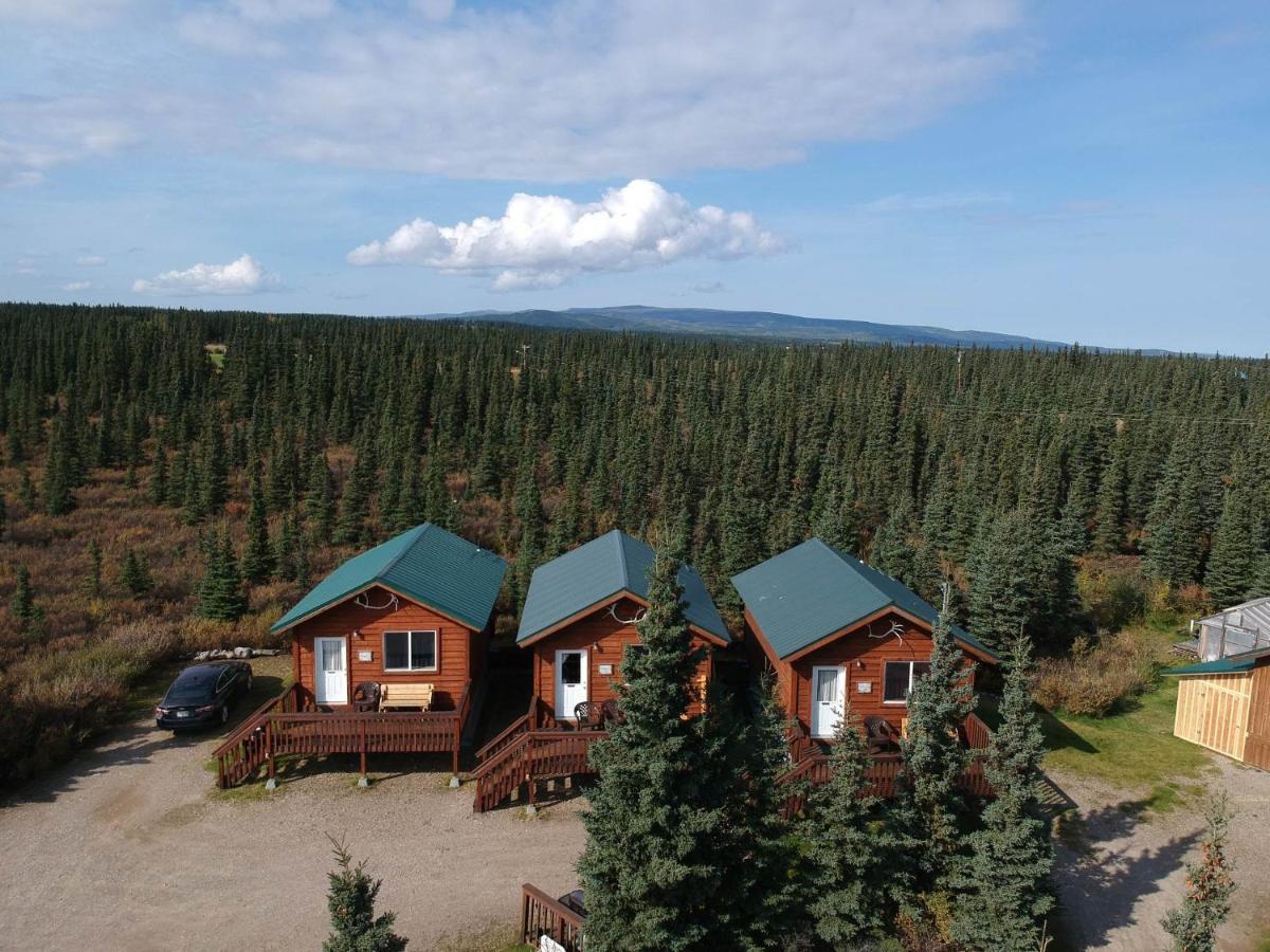 Denali'S Alaskan Spruce Cabins Хийли Екстериор снимка
