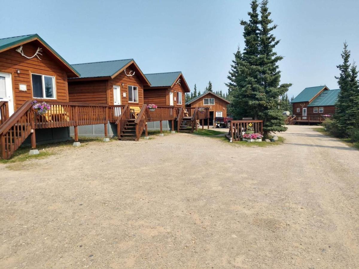 Denali'S Alaskan Spruce Cabins Хийли Екстериор снимка