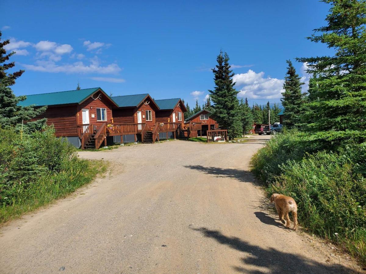 Denali'S Alaskan Spruce Cabins Хийли Екстериор снимка
