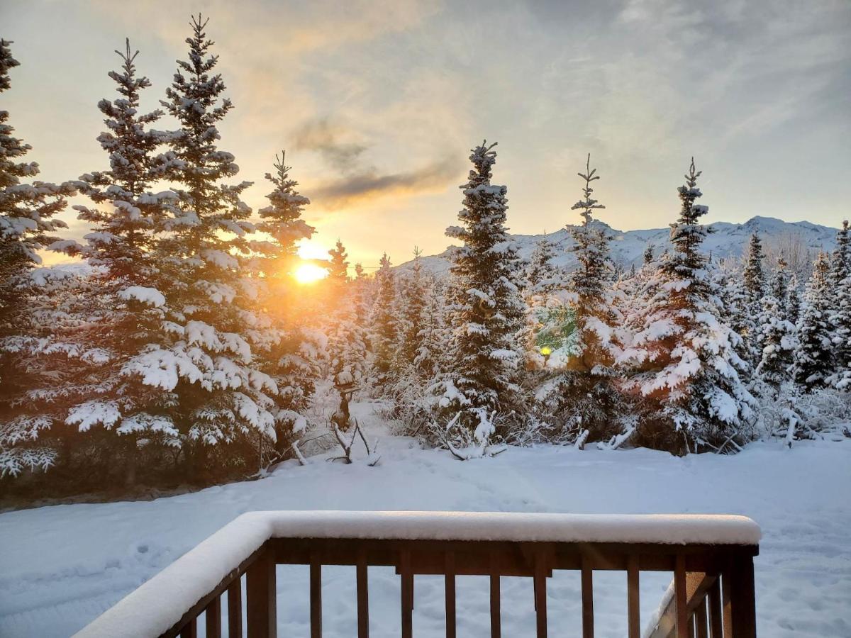 Denali'S Alaskan Spruce Cabins Хийли Екстериор снимка