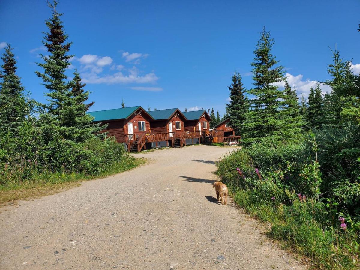 Denali'S Alaskan Spruce Cabins Хийли Екстериор снимка