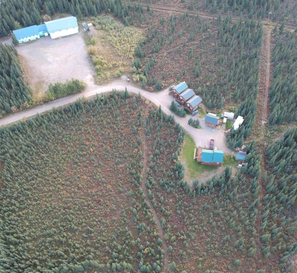 Denali'S Alaskan Spruce Cabins Хийли Екстериор снимка