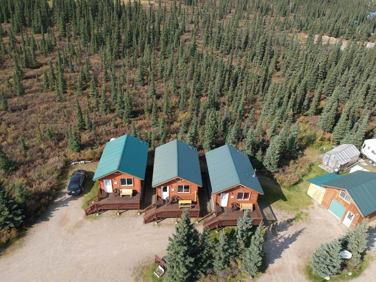 Denali'S Alaskan Spruce Cabins Хийли Екстериор снимка