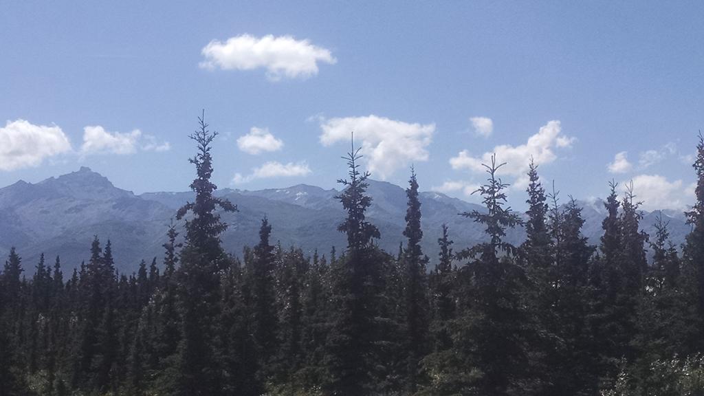 Denali'S Alaskan Spruce Cabins Хийли Екстериор снимка