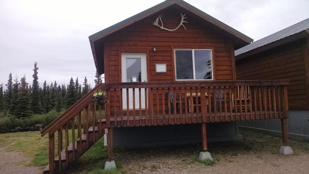 Denali'S Alaskan Spruce Cabins Хийли Екстериор снимка