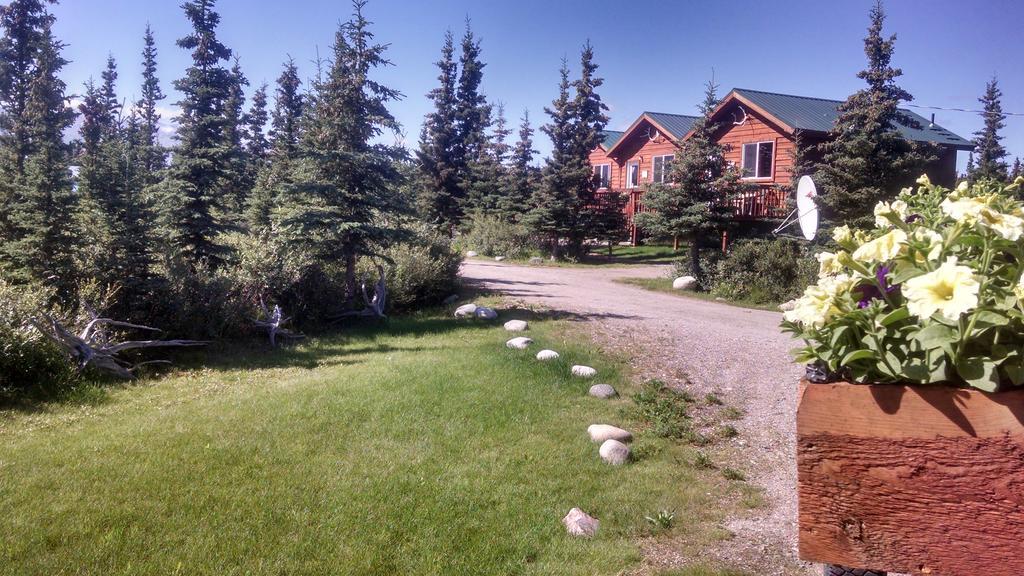 Denali'S Alaskan Spruce Cabins Хийли Екстериор снимка