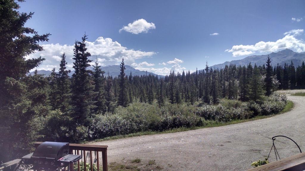 Denali'S Alaskan Spruce Cabins Хийли Екстериор снимка