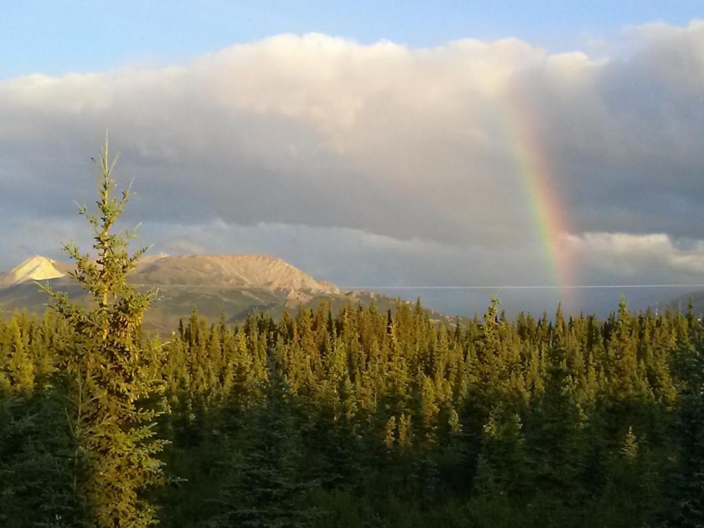 Denali'S Alaskan Spruce Cabins Хийли Екстериор снимка