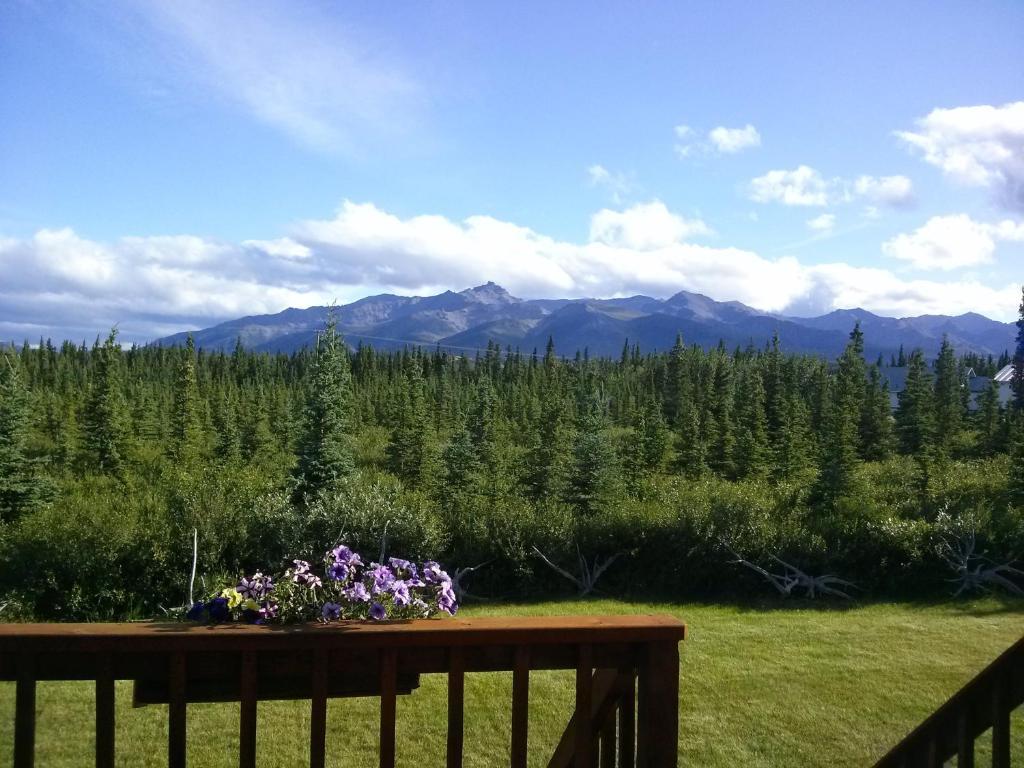 Denali'S Alaskan Spruce Cabins Хийли Екстериор снимка