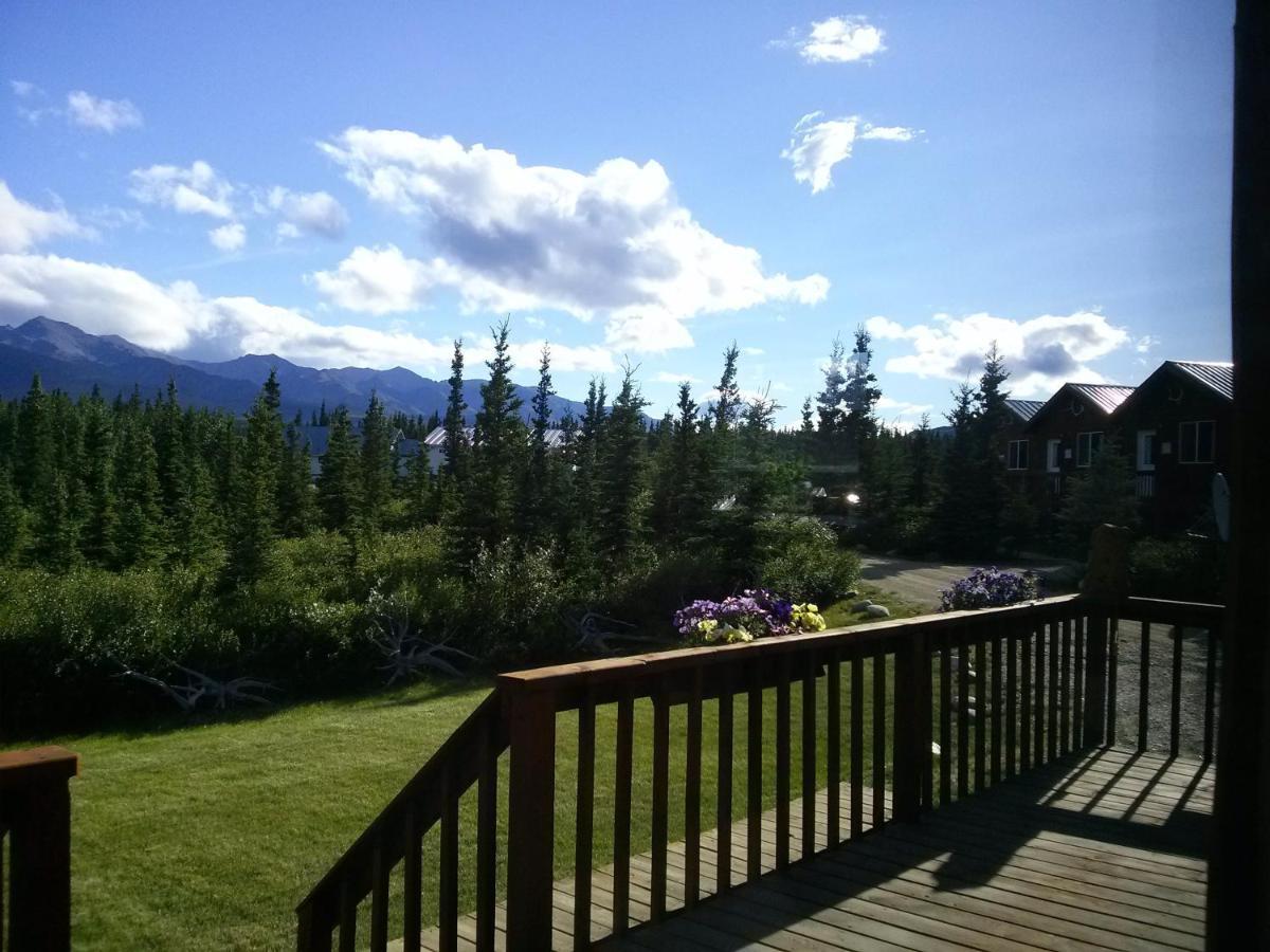 Denali'S Alaskan Spruce Cabins Хийли Екстериор снимка